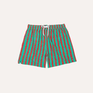 Kilim Stripe Print Nylon Drawstring Swim Shorts